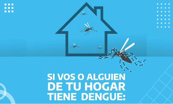 Cómo actuar y prevenir ante el Dengue